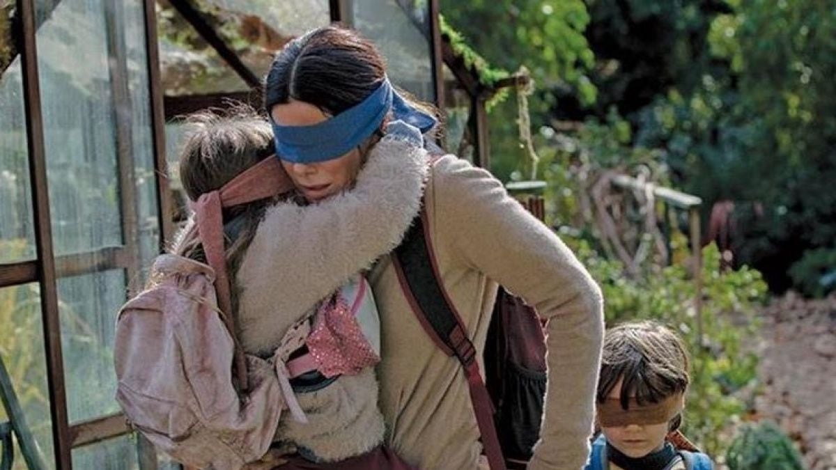 Bird Box Challenge: la última tontera humana que Netflix tuvo que parar