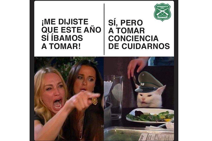 Gato del meme se puso verde: Carabineros lo usa en Fiestas Patrias