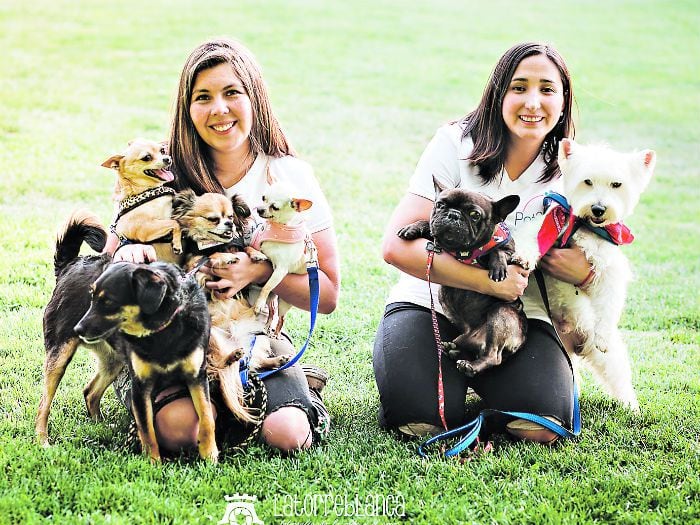 Niñeras para los "bebés con cola"