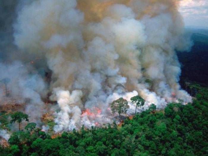 Amazonas en llamas: dantescos incendios forestales desatan un caos ambiental global