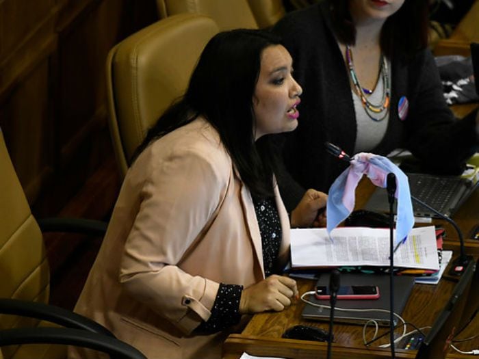 Diputada cita a Los Prisioneros durante debate por la Identidad de Género