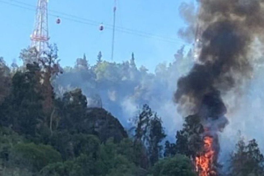 Se registra incendio forestal en el Cerro San Cristóbal