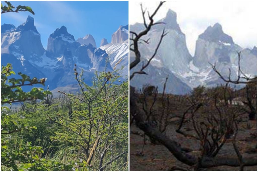 Torres del Paine