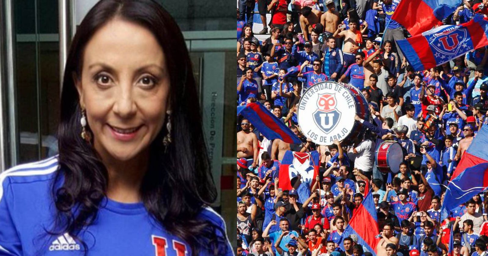 Universidad de chile