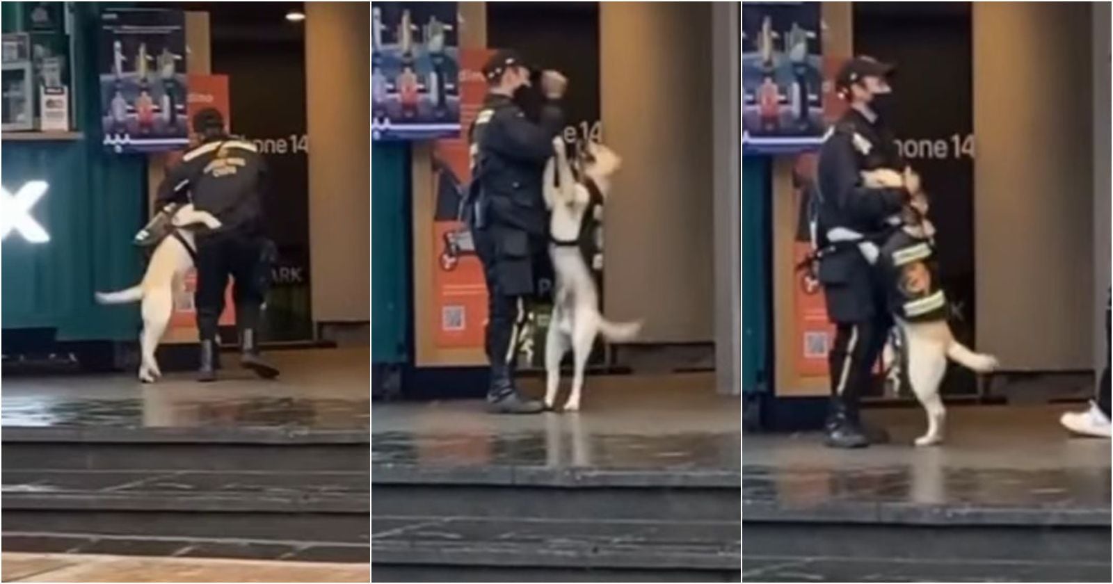 Policía jugando con perrito