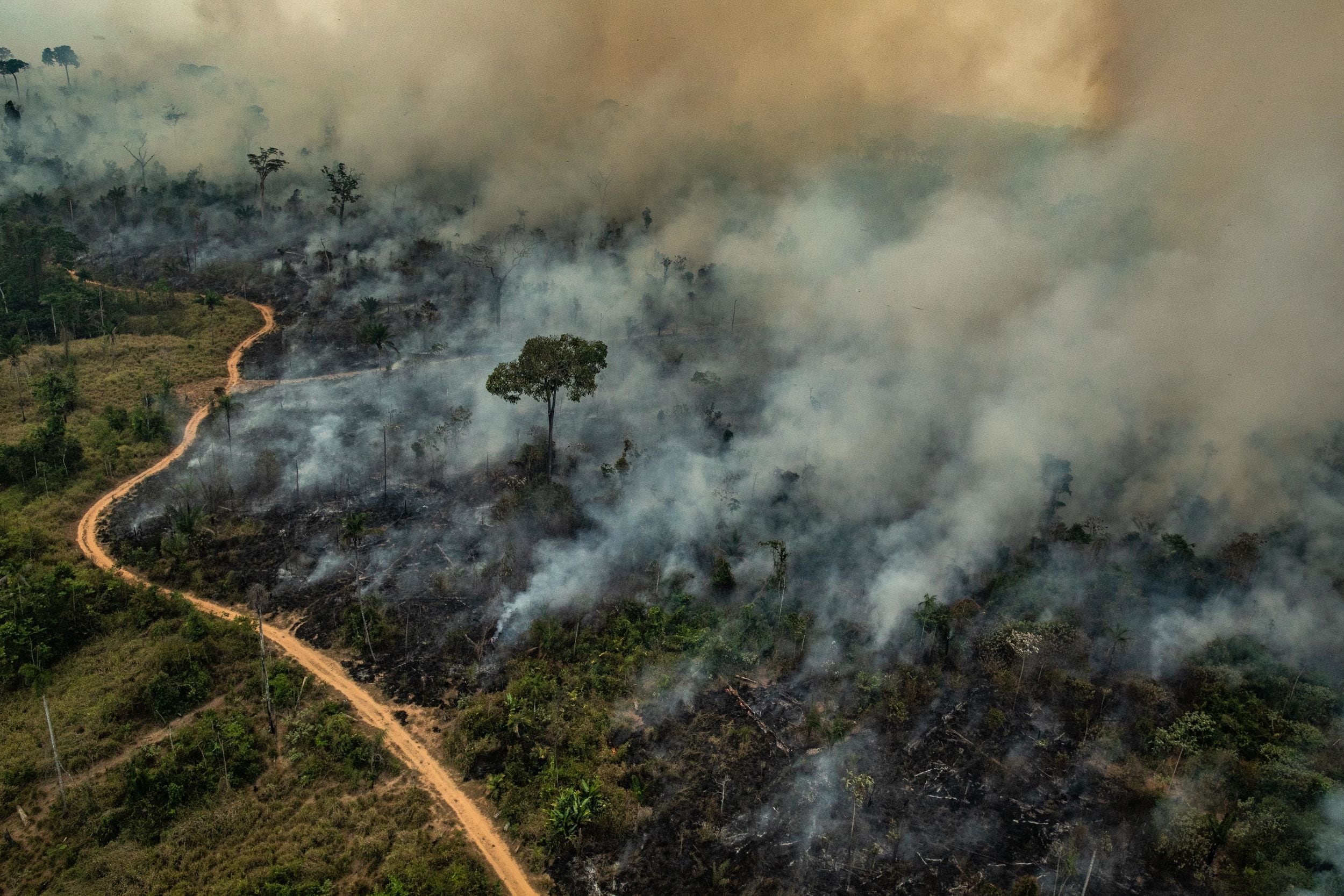 El G7 se comprometió a ayudar a combatir incendios en el Amazonas