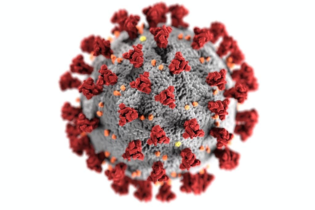 Coronavirus CDC