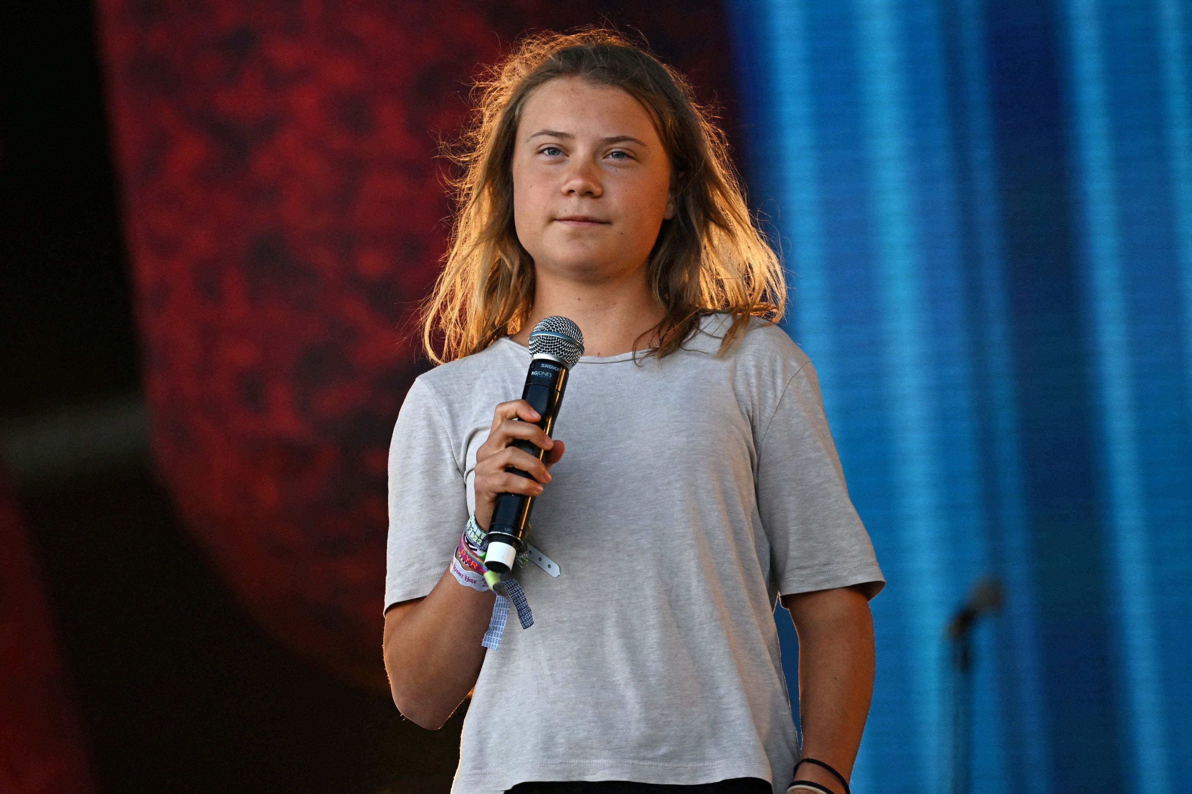 “Un email a penepequeño”: la aplaudida respuesta de Greta Thunberg al ataque del exkickboxer Andrew Tate