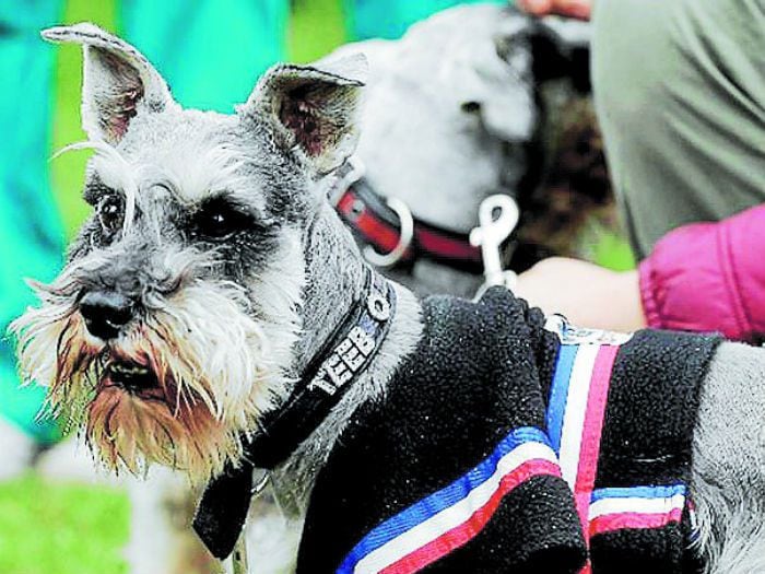 Inauguran fonda de mascotas