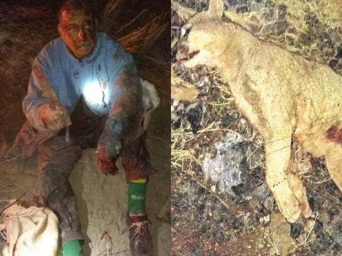 Temerario hombre libró feroz pelea cuerpo a cuerpo con un puma para salvar a su perro