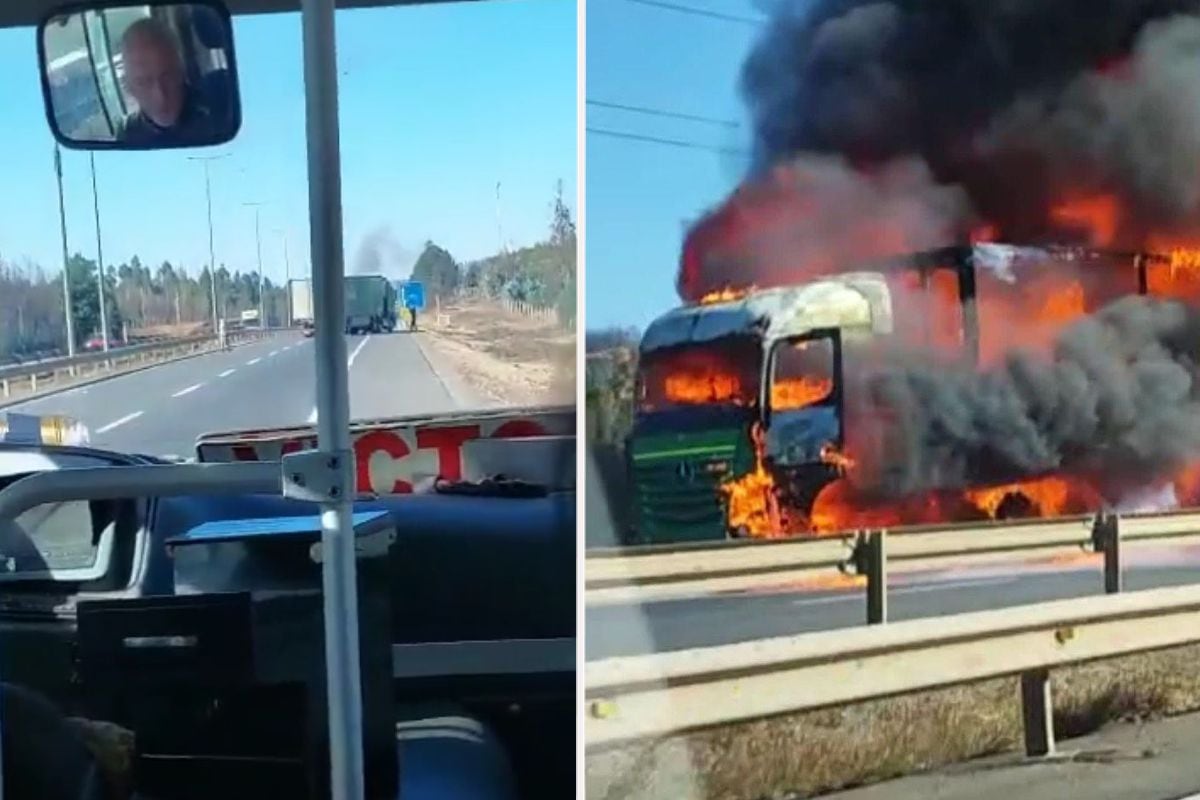 Videos: atentado en Ruta 5 Sur La Araucanía