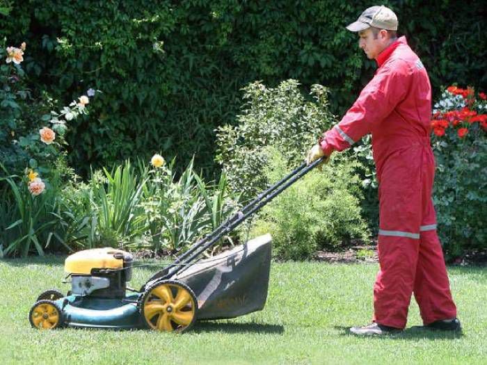 Elección y uso adecuado de las herramientas de jardinería