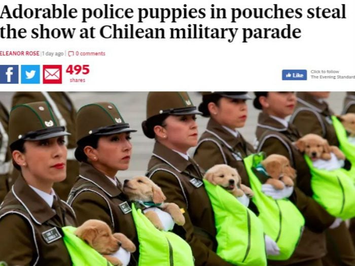 ¡Guau! Perritos de Carabineros dieron la vuelta al mundo