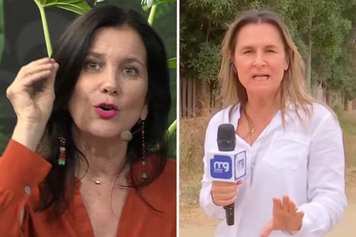 Mirna Schindler envía mensaje a periodistas por veto a Paulina de Allende