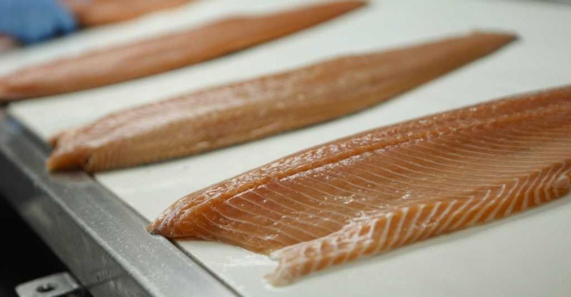 Algo olía mal: familia vendía filetes... que en realidad eran salmones en descomposición