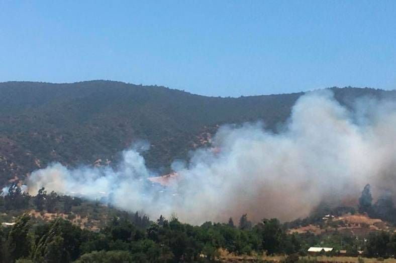 Incendio forestal en Limache obliga la evacuación de viviendas