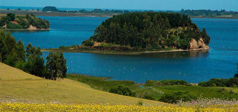 Menor de 12 años muere ahogado en el Lago Budi de Puerto Saavedra