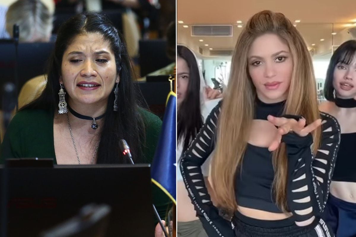 Diputada Ñanco cita a Shakira para defender a Giorgio Jackson