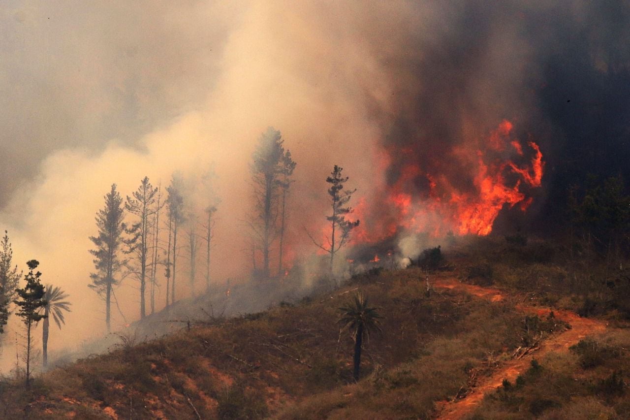 incendio forestal