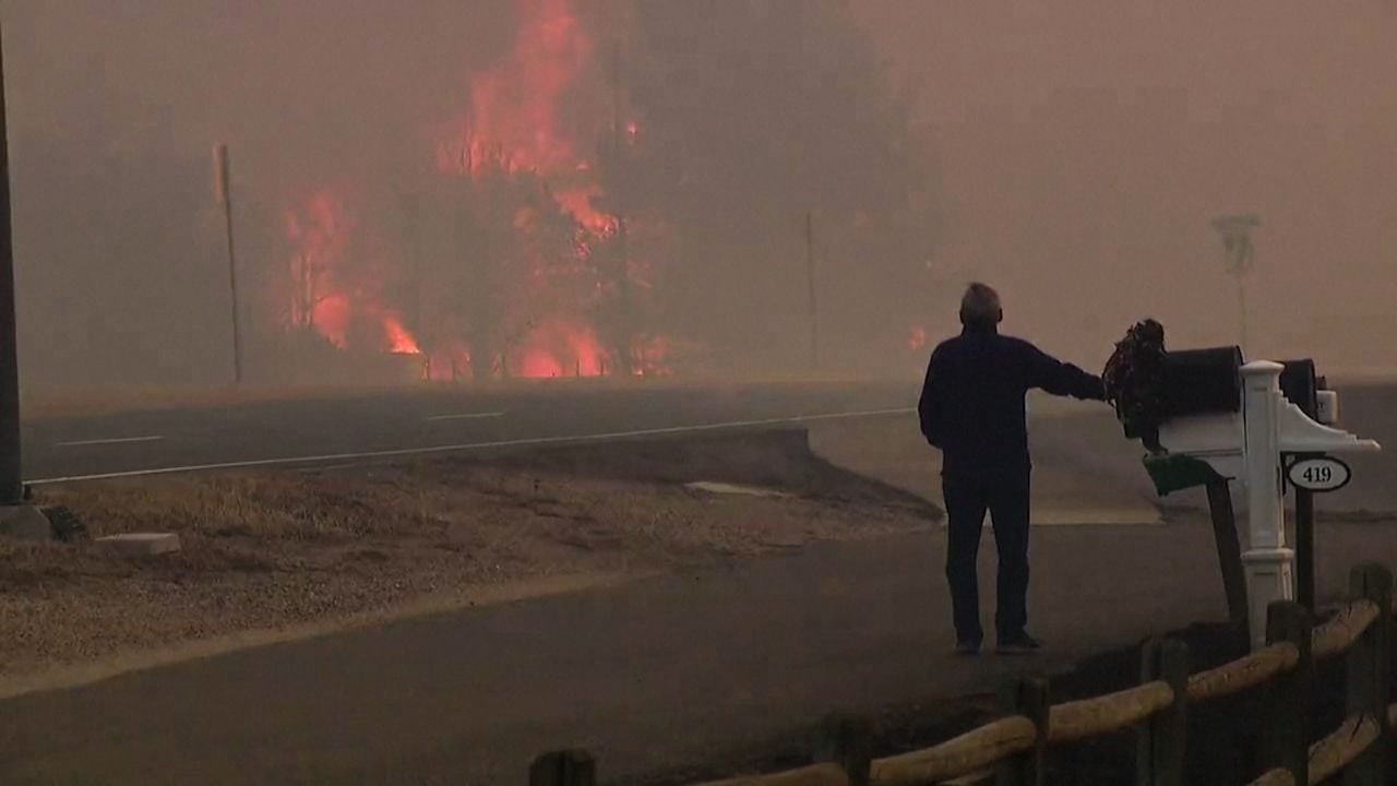 Incendio forestal