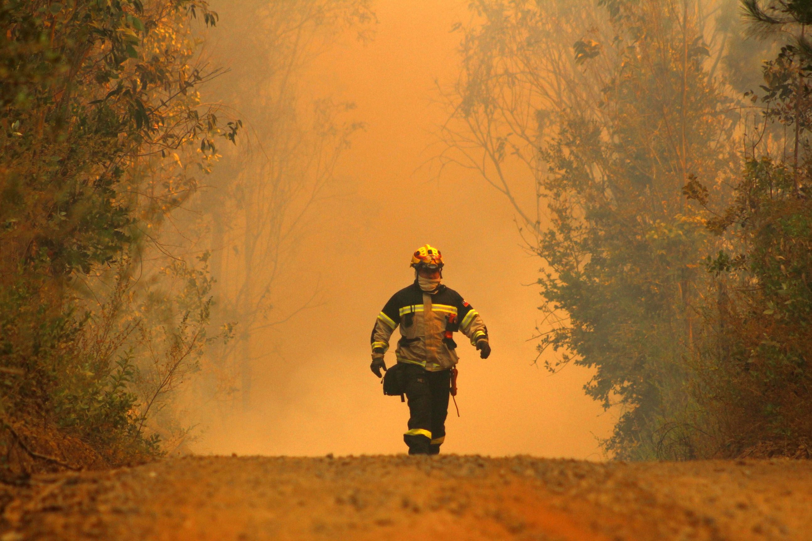 Evacuación de personas cercanas a incendio forestal