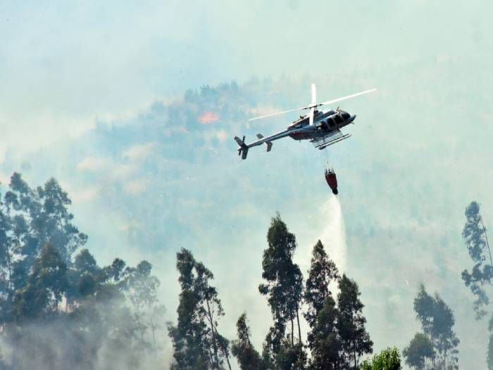 Carahue y Cholchol: las comunas más afectadas por incendios forestales