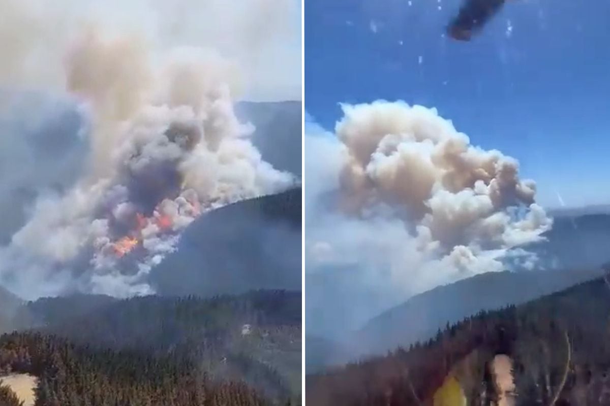 Se reactiva incendio forestal en Santa Juana