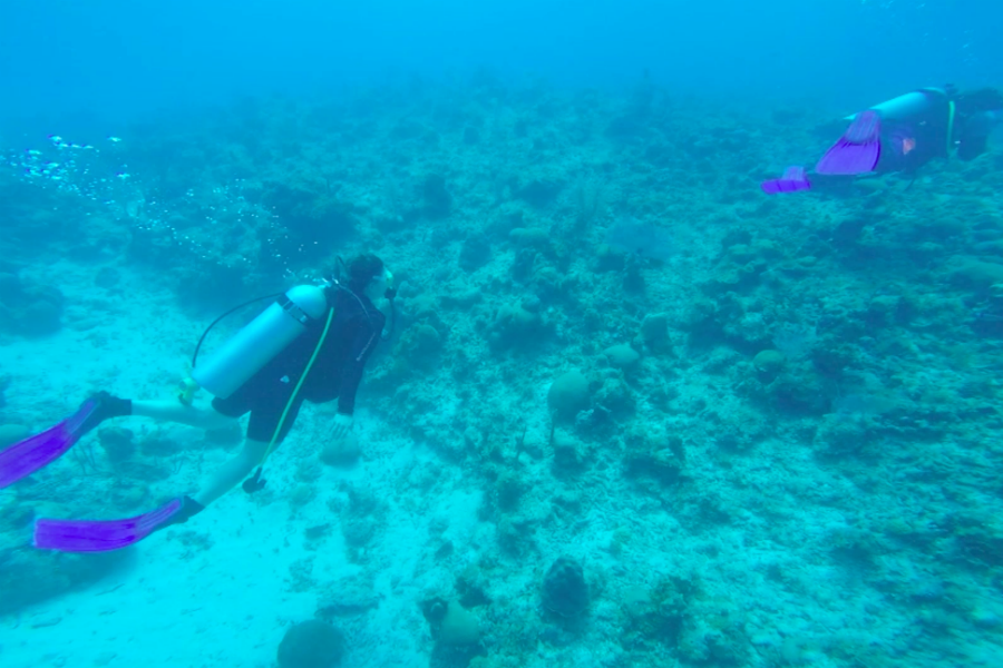 Paseando con La Cuarta: Buceo en Airport Point en Jamaica