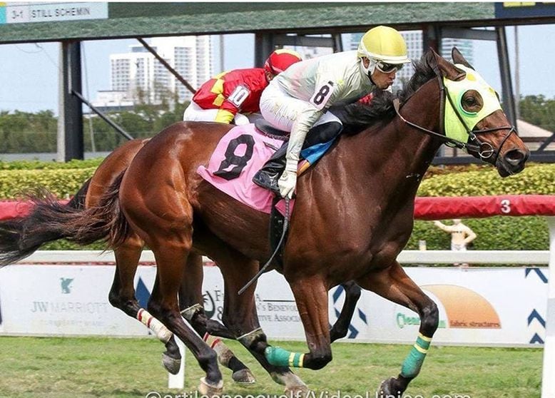 Tito Berríos galopa al bicho en las carreras gringas