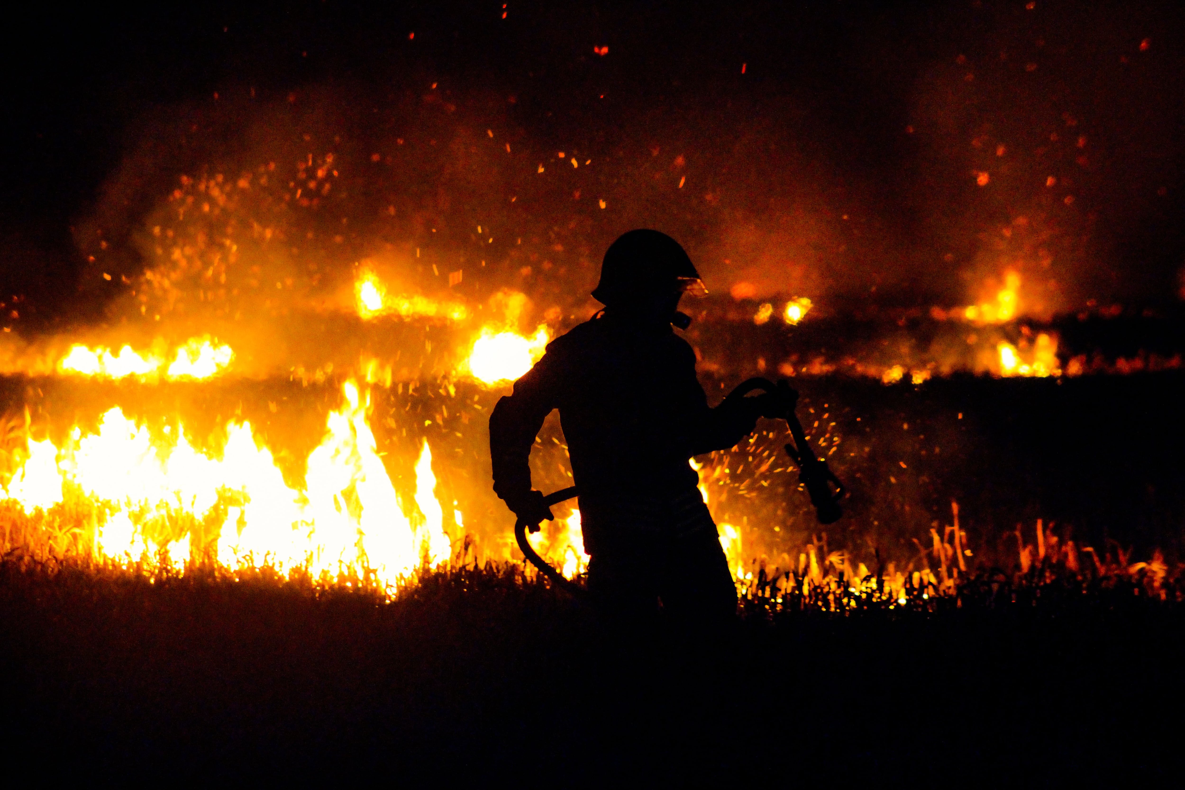 Incendio forestal 1 (foto referencial)