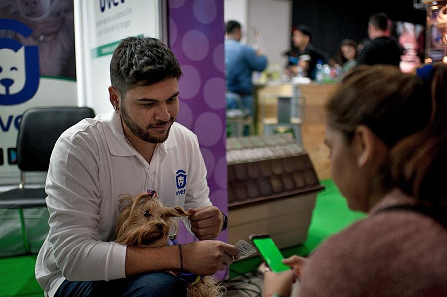 "App" envía veterinarios a domicilio