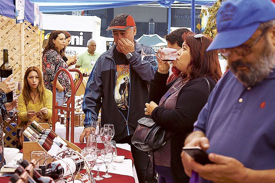 Vendimia de Chillán hizo brindar a Ñuble