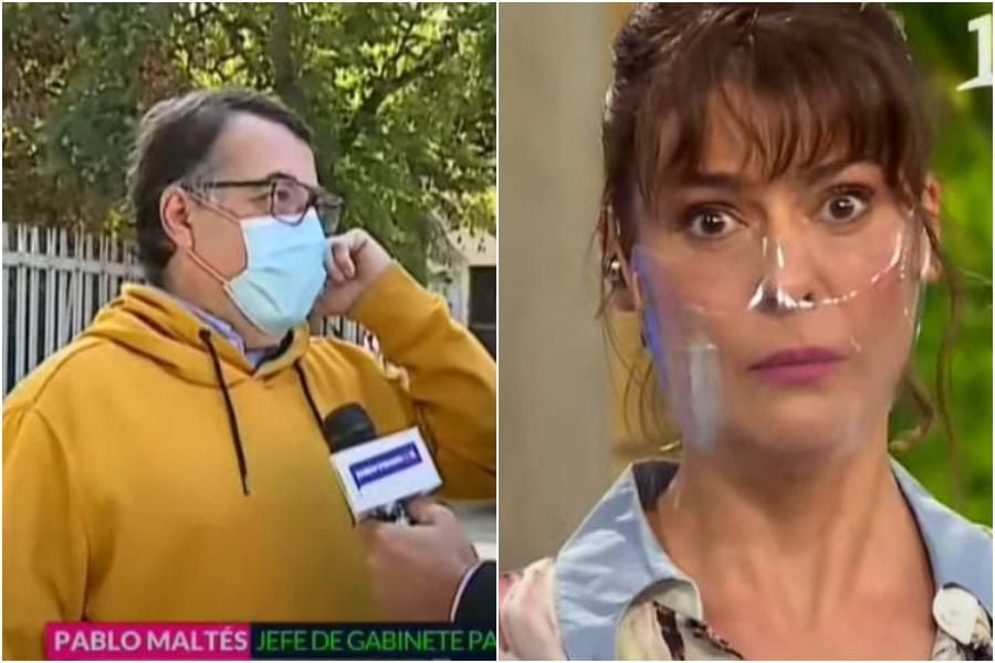 "Nepotismo no tiene que ver con el poto": la hilarante defensa de Pablo Maltés por conflicto de interés con Pamela Jiles