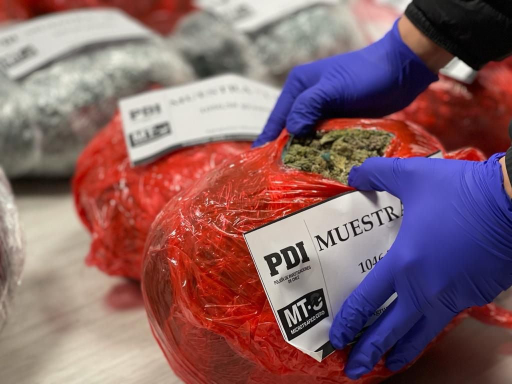 PDI anuncia la incautación de más de 70 mil dosis de cannabis sativa