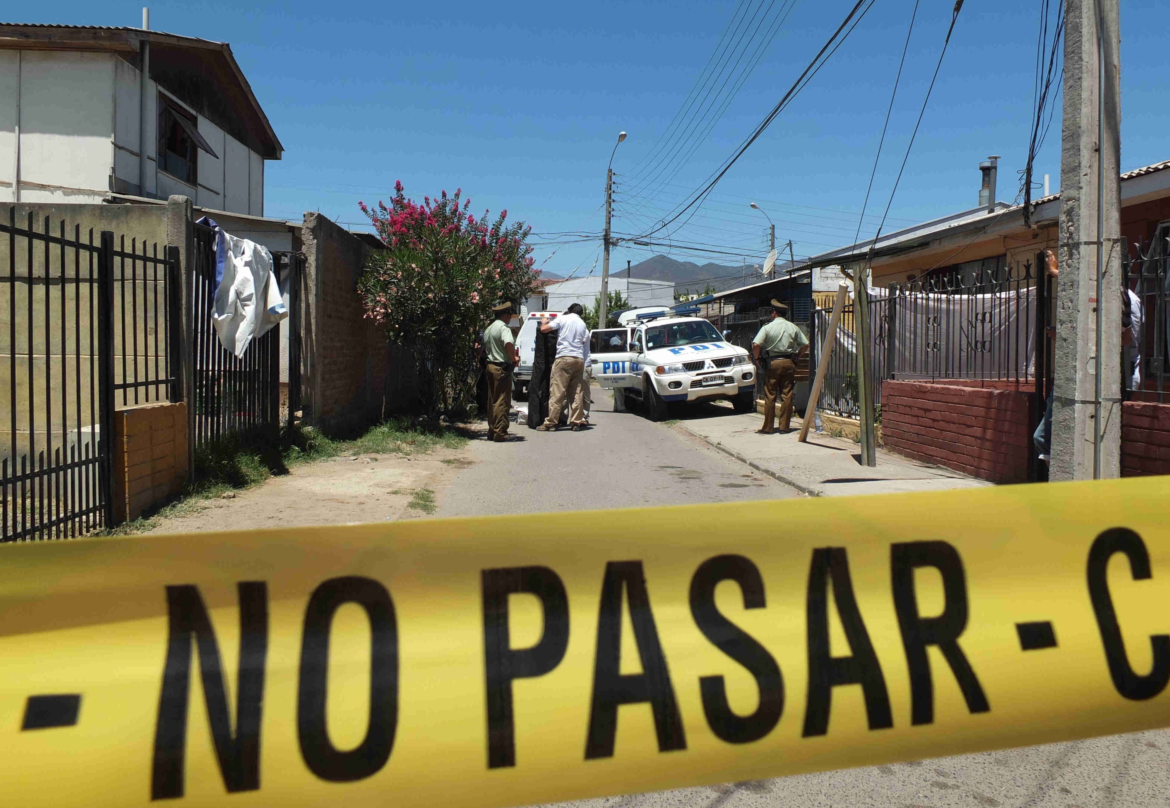 Menor muere por ataque de perro en Quillota