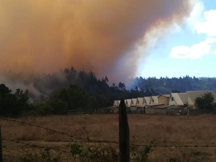 Evacuan zona de Purén por descontrolado incendio forestal