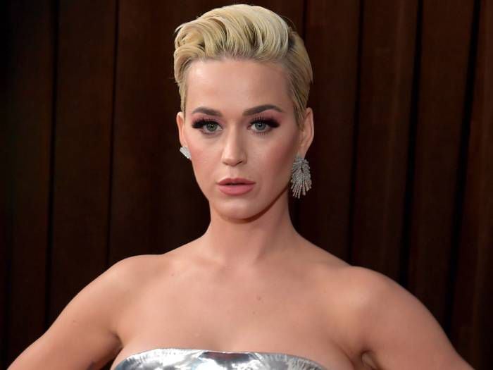 Katy Perry fue acusada por un modelo masculino de abusarlo sexualmente