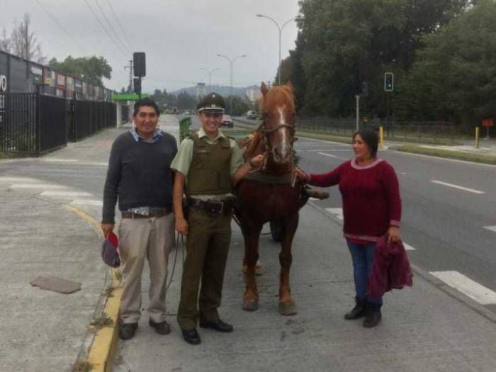 Foto: Carabineros