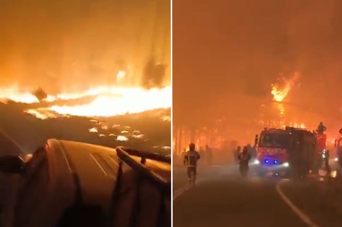 VIDEO: Bomberos arrancan de incendio forestal en Coronel