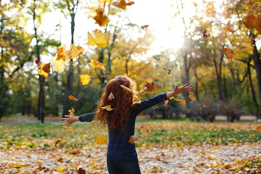 Lo que nos muestra el otoño