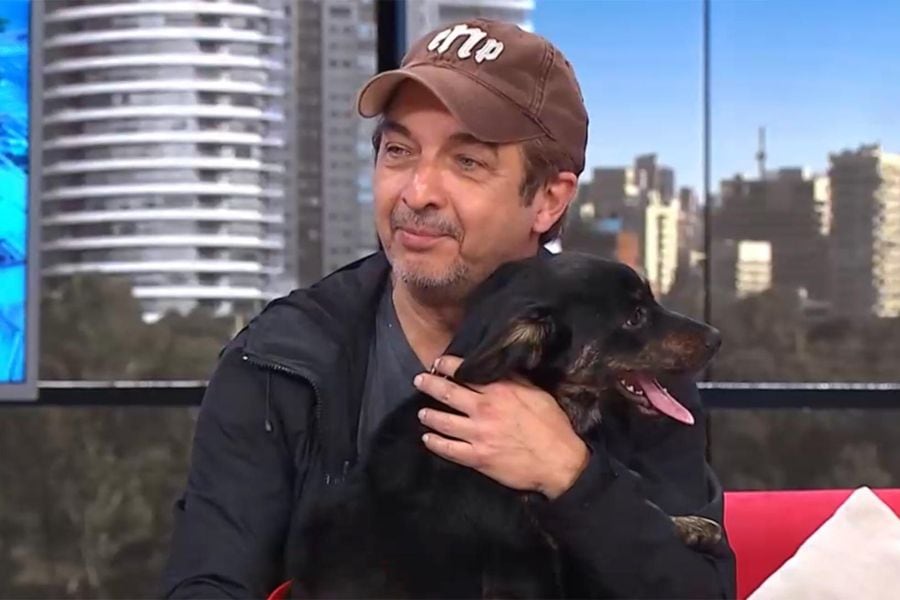 Ricardo Darín apareció por sorpresa en un programa de TV: se encontró a un perrito en la calle y buscaba al dueño